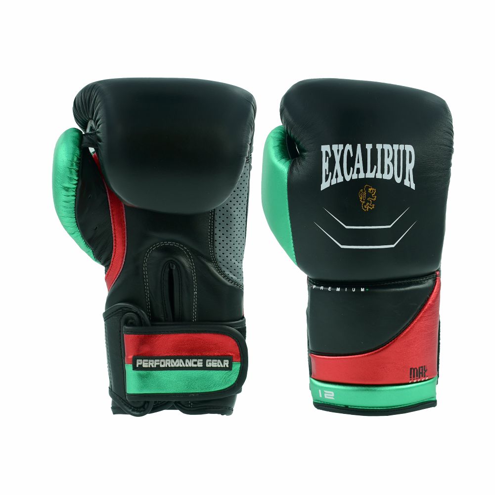 Premium Boxing Gloves